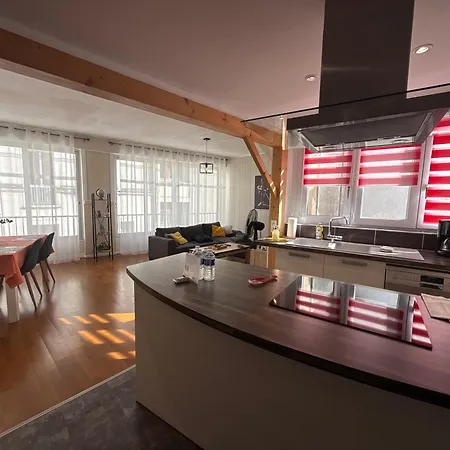 Relais Des Arts, Tres Spacieux Et Lumineux Centre Daire Thouars