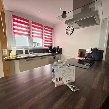 Daire Relais Des Arts, Tres Spacieux Et Lumineux Centre Thouars